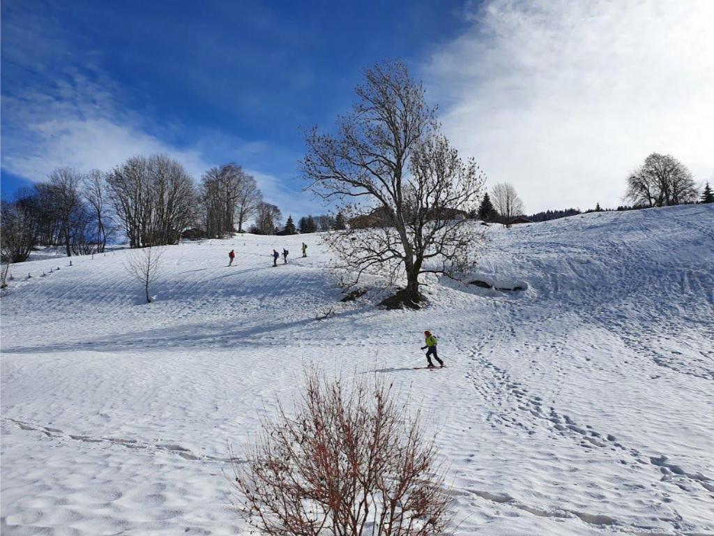 De La Marmotte